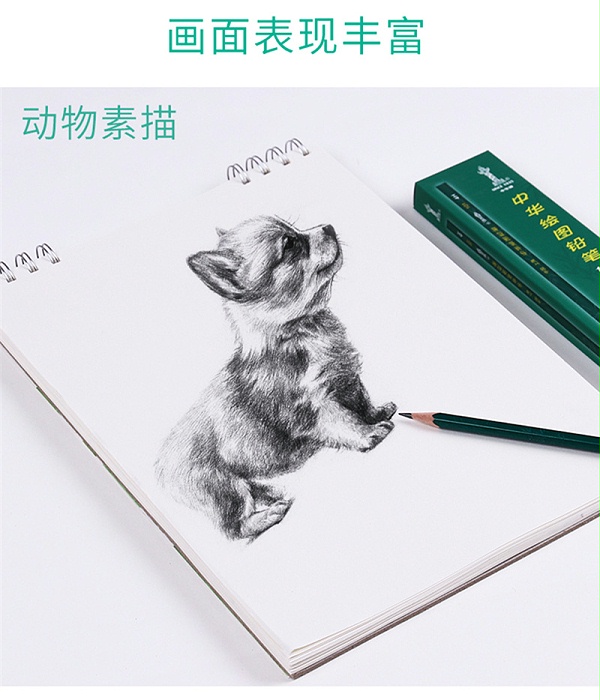 ҳ11л 101 2BͼǦʿǦ 12֧/