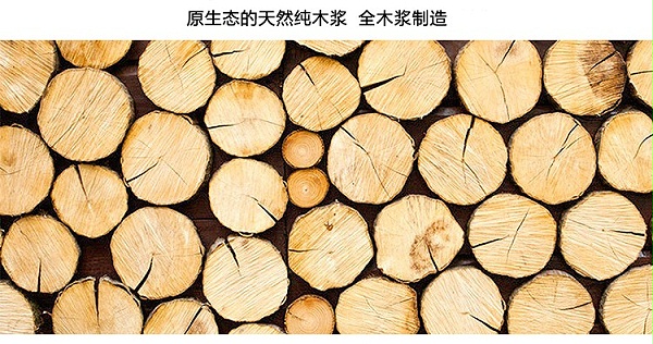 ӡֽ80G A3 ɫ500Ű 5
