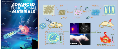 纳米光热转换材料的光热治疗是一种新兴的癌症治疗方法,该方法疗效